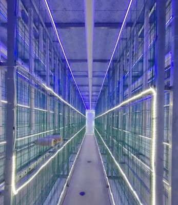 मशरूम की खेती