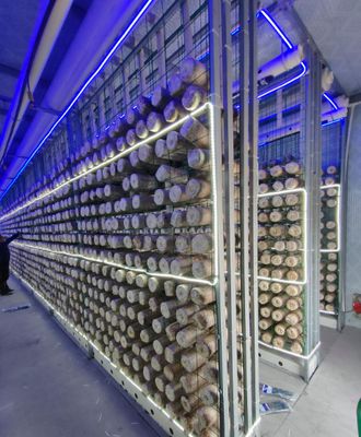 मशरूम की खेती