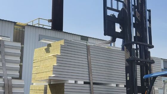 उच्च स्वच्छता वातावरण के लिए अनुकूलन योग्य मोटाई के साथ ध्वनि इन्सुलेशन फायरप्रूफ क्लीनरूम सैंडविच पैनल